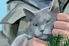 36